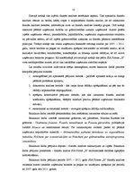 Diplomdarbs 'SIA firmas "X" saimnieciskās darbības finanšu analīze un attīstības iespējas', 12.