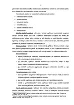 Diplomdarbs 'SIA firmas "X" saimnieciskās darbības finanšu analīze un attīstības iespējas', 19.