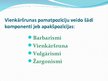 Prezentācija 'Barbarismi, žargonismi, vulgārismi latviešu valodā', 2.