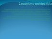 Prezentācija 'Barbarismi, žargonismi, vulgārismi latviešu valodā', 14.