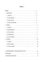 Referāts 'Visbiežākās traumas cīņas sporta veidos', 2.