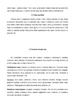 Referāts 'Visbiežākās traumas cīņas sporta veidos', 5.