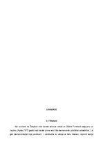 Referāts 'Visbiežākās traumas cīņas sporta veidos', 10.