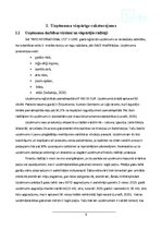 Referāts 'Mārketinga vides analīze uzņēmumā', 4.