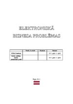 Referāts 'Elektroniskā biznesa problēmas', 1.