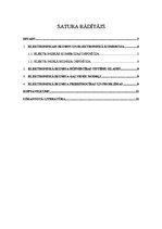 Referāts 'Elektroniskā biznesa problēmas', 2.