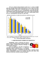 Referāts 'Elektroniskā biznesa problēmas', 5.