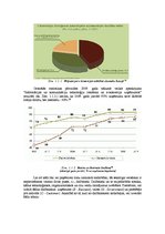 Referāts 'Elektroniskā biznesa problēmas', 6.