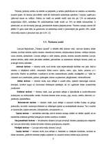 Referāts 'Tūrisma nozares analīze Latvijā', 7.