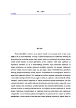 Referāts 'Efektīvs vadītājs', 2.