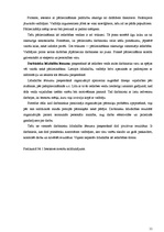 Referāts 'Efektīvs vadītājs', 11.