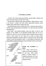 Referāts 'Efektīvs vadītājs', 19.