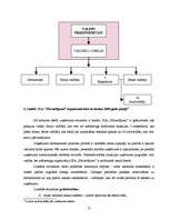 Referāts 'Stratēģijas izvērtējums SIA "Pārvadājumi"', 13.