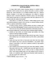 Referāts 'Stratēģijas izvērtējums SIA "Pārvadājumi"', 16.