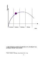 Referāts 'Stratēģijas izvērtējums SIA "Pārvadājumi"', 18.