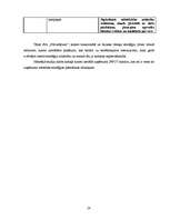 Referāts 'Stratēģijas izvērtējums SIA "Pārvadājumi"', 28.