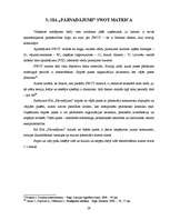 Referāts 'Stratēģijas izvērtējums SIA "Pārvadājumi"', 29.