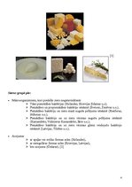 Referāts 'Siers', 4.