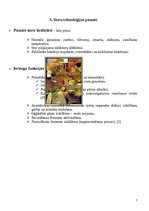 Referāts 'Siers', 7.