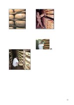 Referāts 'Siers', 11.