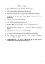 Referāts 'Siers', 14.