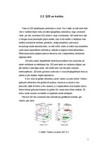 Referāts 'Ģeogrāfiskās informācijas sistēmas', 7.