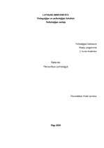 Referāts 'Personības psiholoģija', 13.