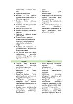 Referāts 'Uzņēmuma ekonomiskās darbības plānošana un analīze', 7.