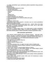 Referāts 'Apdrošināšanas tirgus', 17.