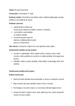 Konspekts 'Jāņu dienas scenārijs pirmsskolā', 1.