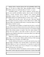 Eseja 'Pašvaldību vēlēšanas', 3.