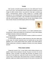 Referāts 'Peles', 1.