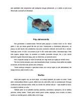 Referāts 'Peles', 2.