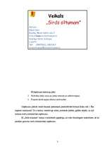 Biznesa plāns 'Biznesa plāns IK "Sirds siltumam"', 3.