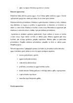 Referāts 'Sportista tehniskā, fiziskā un taktiskā sagatavošana', 3.