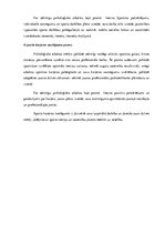 Referāts 'Sportista tehniskā, fiziskā un taktiskā sagatavošana', 12.