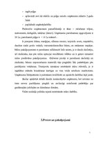 Biznesa plāns 'SIA "Kaķpēdiņa"', 5.