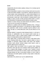 Diplomdarbs 'SIA "Libanons Latvija" mārketinga aktivitāšu vadība jaunā produkta virzībai Latv', 6.