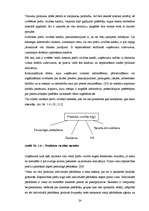 Diplomdarbs 'SIA "Libanons Latvija" mārketinga aktivitāšu vadība jaunā produkta virzībai Latv', 24.