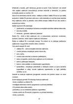 Diplomdarbs 'SIA "Libanons Latvija" mārketinga aktivitāšu vadība jaunā produkta virzībai Latv', 29.