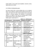 Diplomdarbs 'SIA "Libanons Latvija" mārketinga aktivitāšu vadība jaunā produkta virzībai Latv', 43.