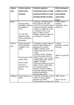 Konspekts 'Vizuālās mākslas konspekts 2.klasei', 2.