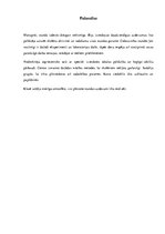 Konspekts 'Stundas konspekts 5.klasei. Temperatūra', 9.