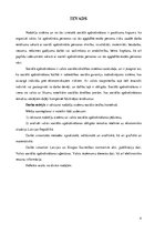 Referāts 'Nodokļu sistēma sociālo tiesību kontekstā', 4.