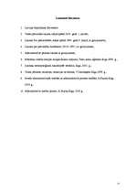 Referāts 'Pašvaldības kā valsts pārvaldes subjekti', 15.