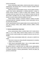 Referāts 'Izlietotā iepakojuma apsaimniekošanas sistēmas attīstība', 13.