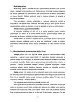 Referāts 'Izlietotā iepakojuma apsaimniekošanas sistēmas attīstība', 14.