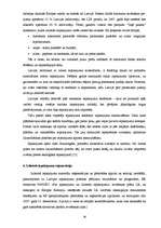 Referāts 'Izlietotā iepakojuma apsaimniekošanas sistēmas attīstība', 19.