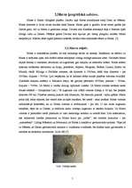 Referāts 'Marsa izpēte', 5.