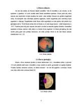 Referāts 'Marsa izpēte', 6.